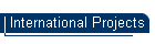 International Projects