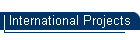 International Projects