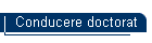 Conducere doctorat