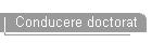Conducere doctorat