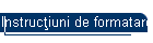 Instrucţiuni de formatare