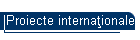 Proiecte internaţionale