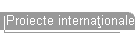 Proiecte internaţionale
