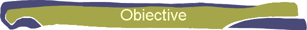 Obiective