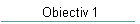 Obiectiv 1