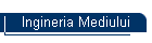Ingineria Mediului